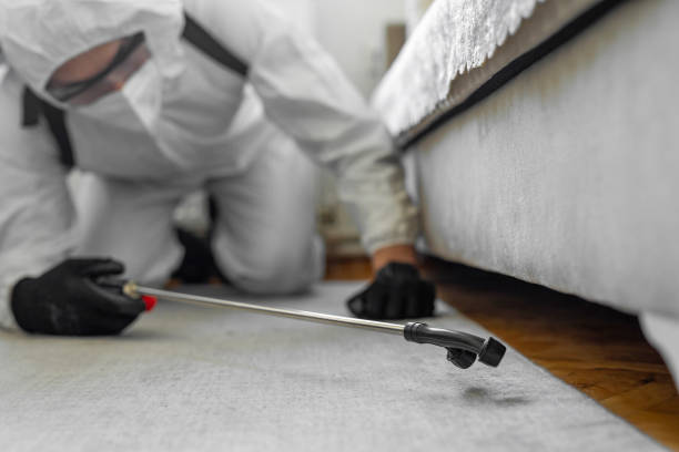 Professional Bed Bug Control technician working in Banks County County, GA